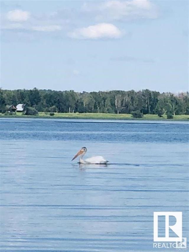 #106 53509 Rge Road 60, Rural Parkland County, Alberta  T7Y 0B5 - Photo 53 - E4438292
