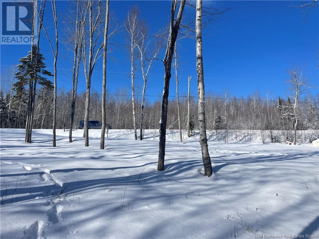 Lot 04-3 Route 690, Flowers Cove, New Brunswick  E4B 2E6 - Photo 29 - NB112804