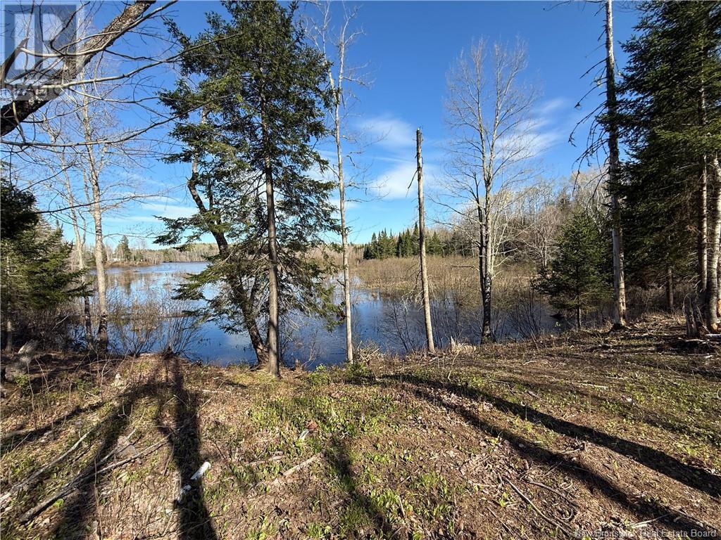 Lot 04-3 Route 690, Flowers Cove, New Brunswick  E4B 2E6 - Photo 10 - NB112804