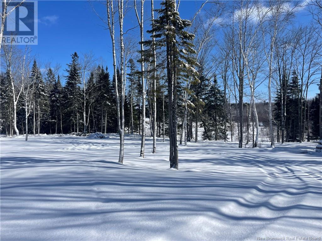 Lot 04-3 Route 690, Flowers Cove, New Brunswick  E4B 2E6 - Photo 27 - NB112804