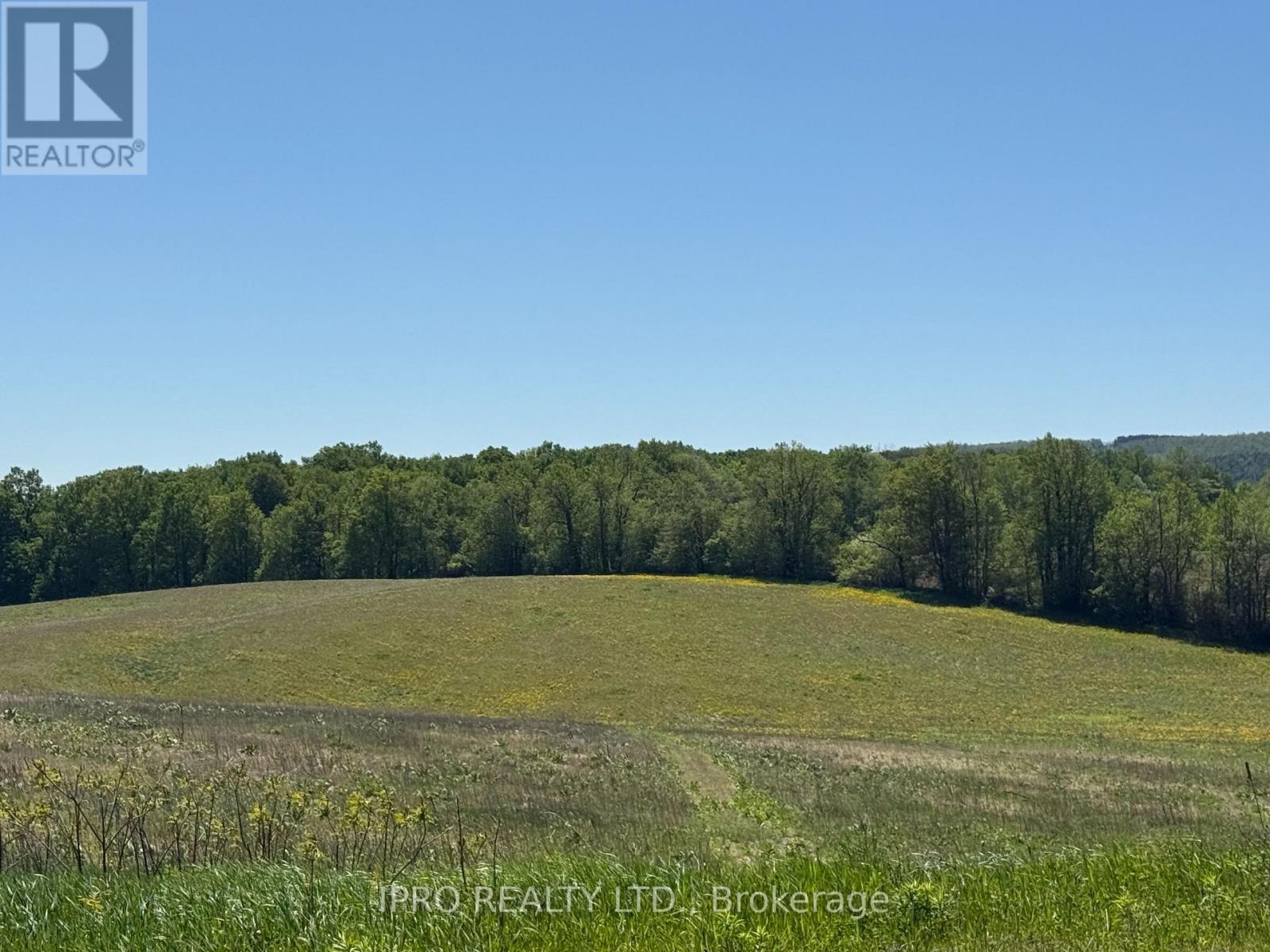 828254 Mulmur Nottawasaga Townline, Mulmur, Ontario  L9V 0Y7 - Photo 14 - X12161180