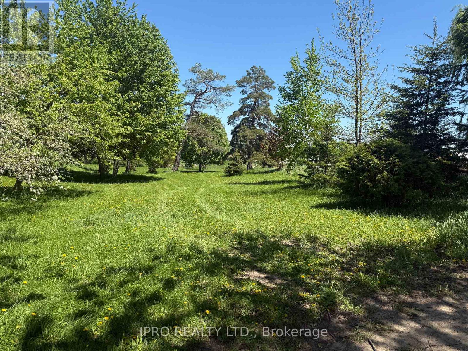828254 Mulmur Nottawasaga Townline, Mulmur, Ontario  L9V 0Y7 - Photo 6 - X12161180