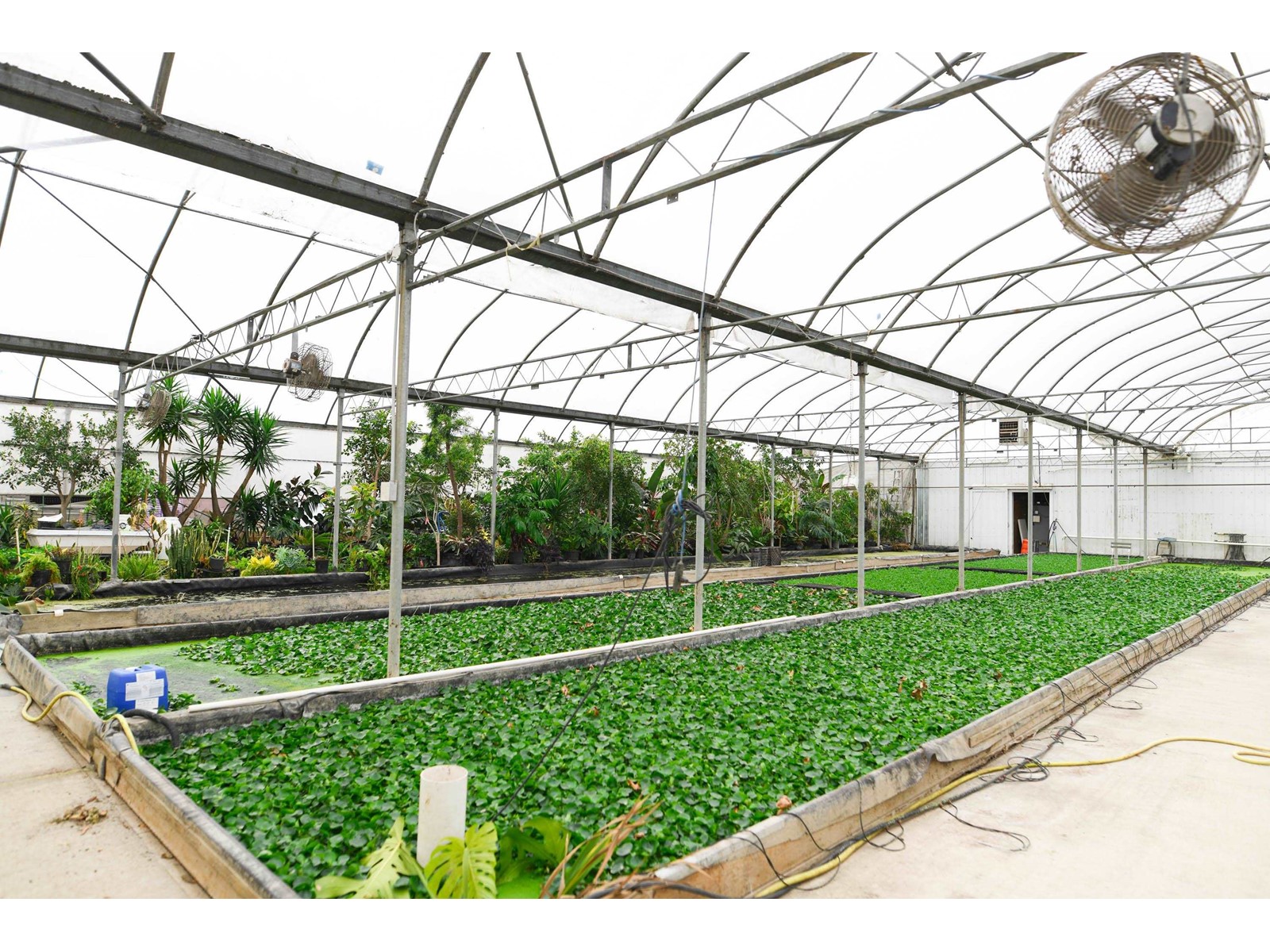 3387 Tolmie Road, Abbotsford, British Columbia  V3G 2T9 - Photo 37 - R3006915