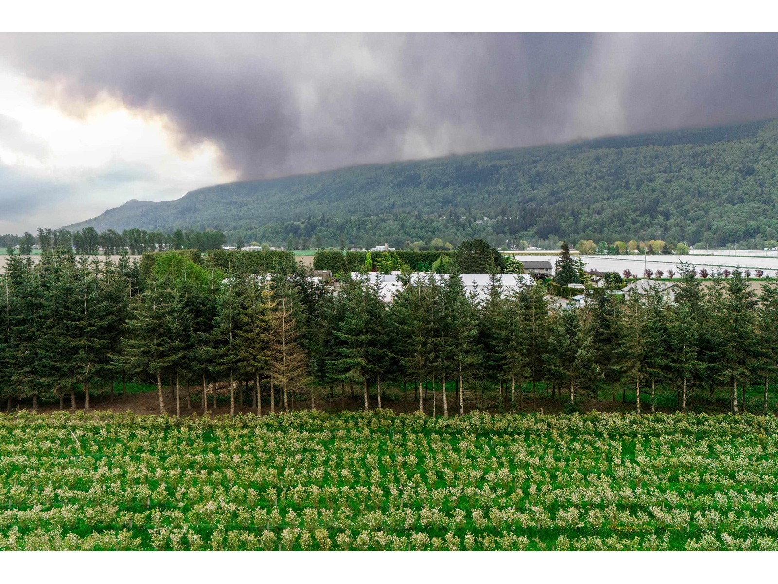 3387 Tolmie Road, Abbotsford, British Columbia  V3G 2T9 - Photo 8 - R3006915