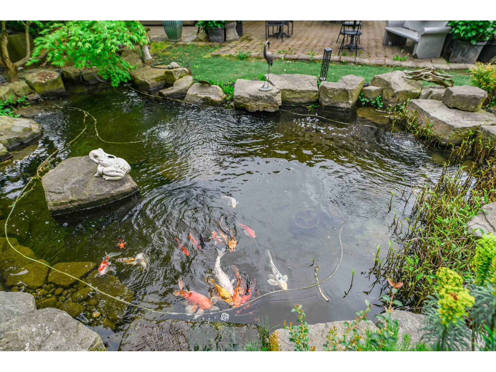 3387 Tolmie Road, Abbotsford, British Columbia  V3G 2T9 - Photo 14 - C8069471