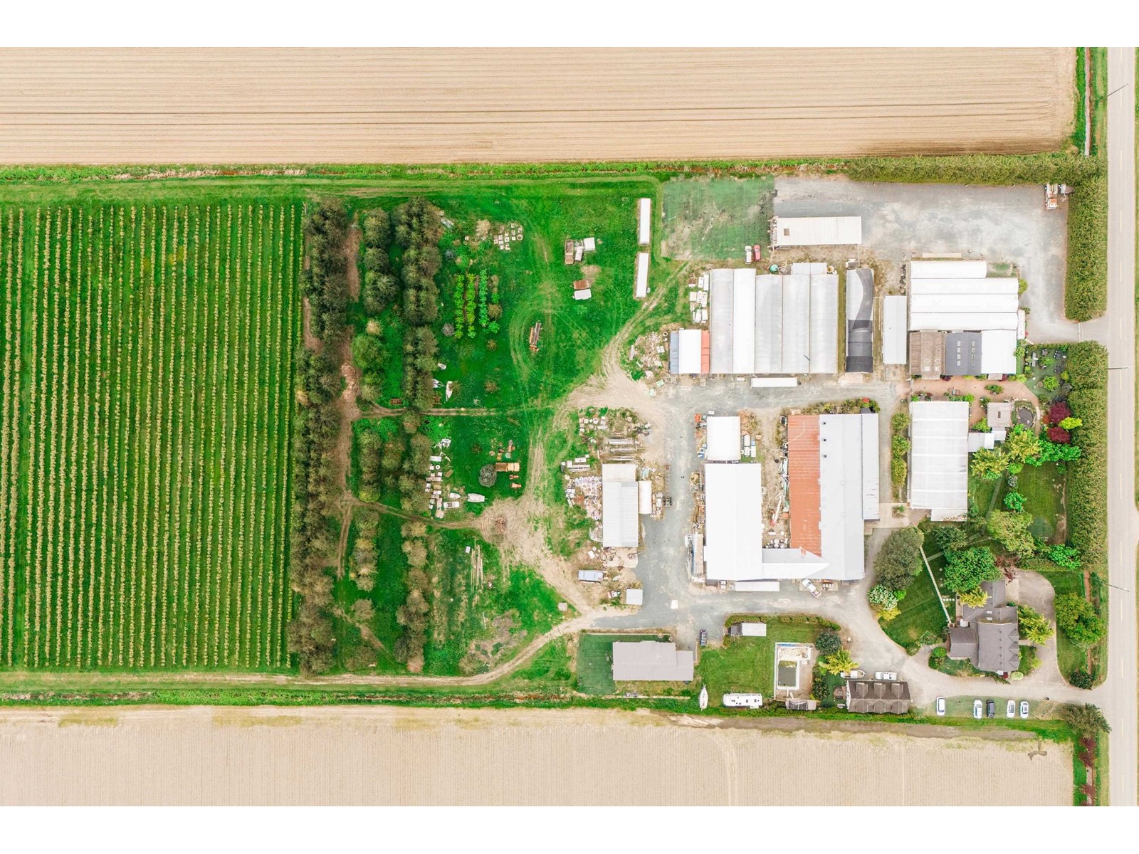 3387 Tolmie Road, Abbotsford, British Columbia  V3G 2T9 - Photo 9 - C8069471