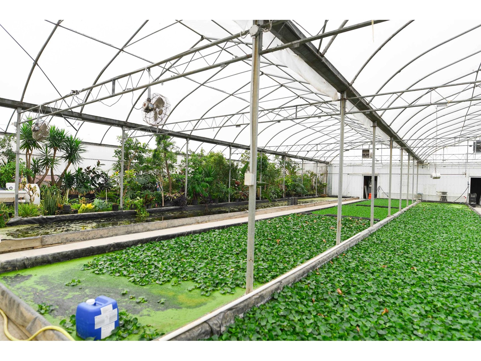 3387 Tolmie Road, Abbotsford, British Columbia  V3G 2T9 - Photo 28 - C8069471