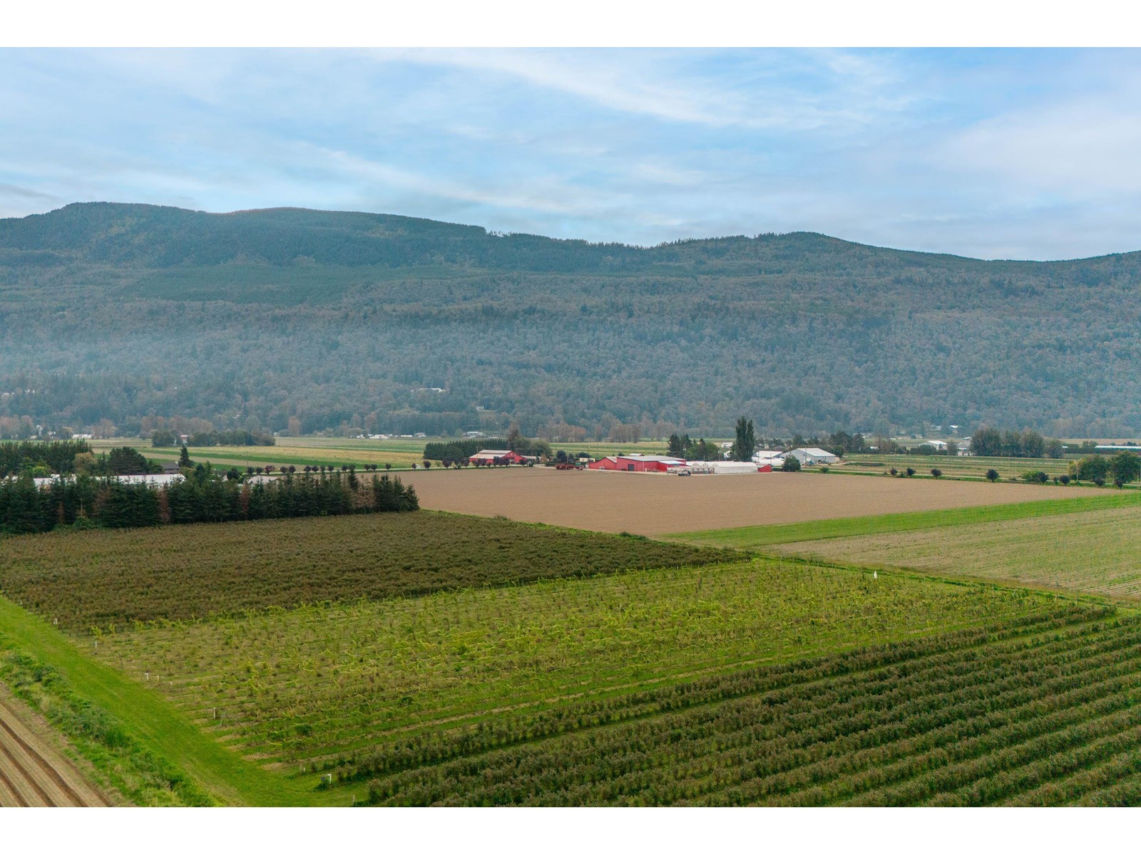 3387 Tolmie Road, Abbotsford, British Columbia  V3G 2T9 - Photo 5 - C8069471