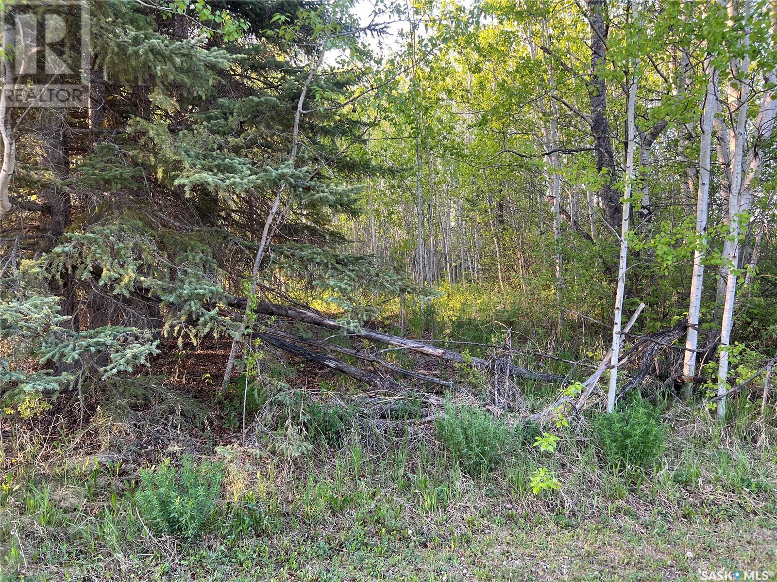 621 Pine Avenue, Carragana, Saskatchewan  S0E 0K0 - Photo 3 - SK007231