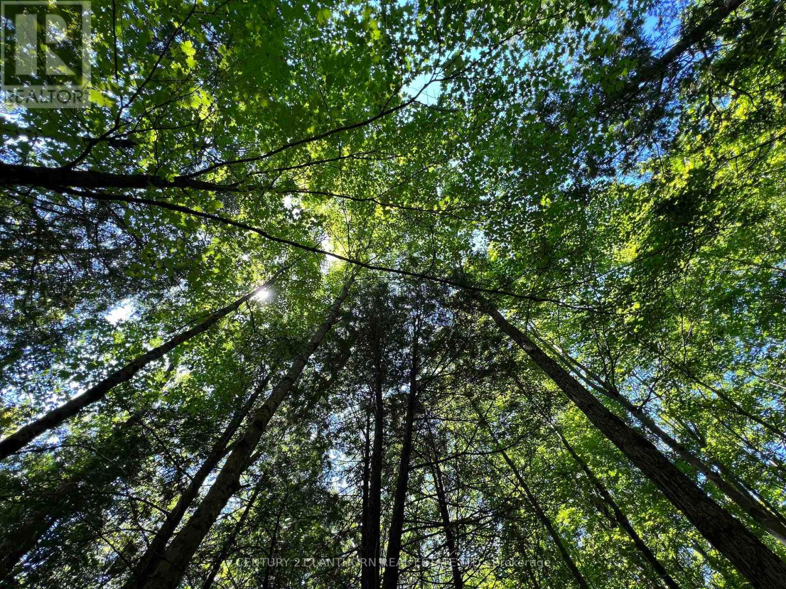 Accross From 29 Luffman Road, Tweed (Hungerford (Twp)), Ontario  K0K 2L0 - Photo 4 - X12174800