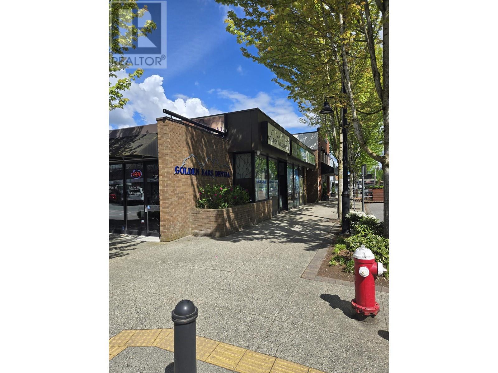 103 11955 224 Street, Maple Ridge, British Columbia  V2X 6B4 - Photo 16 - C8069092