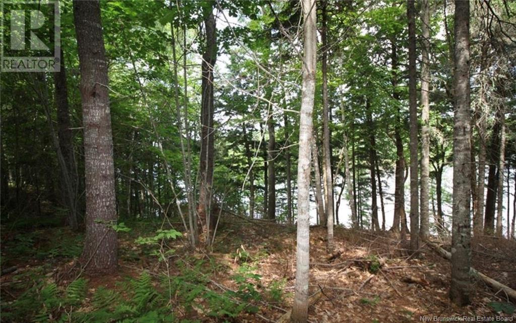 Property at 15-60 Bass River Point Road image 3