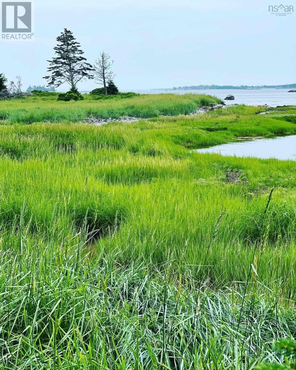 Lot 3 Slaterville Road, Eel Bay, Nova Scotia  B0W 1K0 - Photo 8 - 202512368