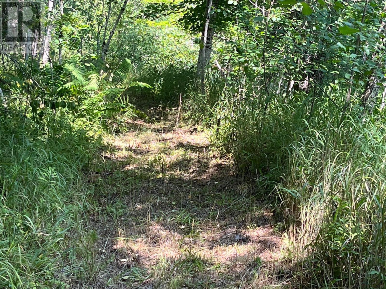 Lot 24-1 Mckeen Road, Watford, Nova Scotia  B0R 1E0 - Photo 16 - 202502421