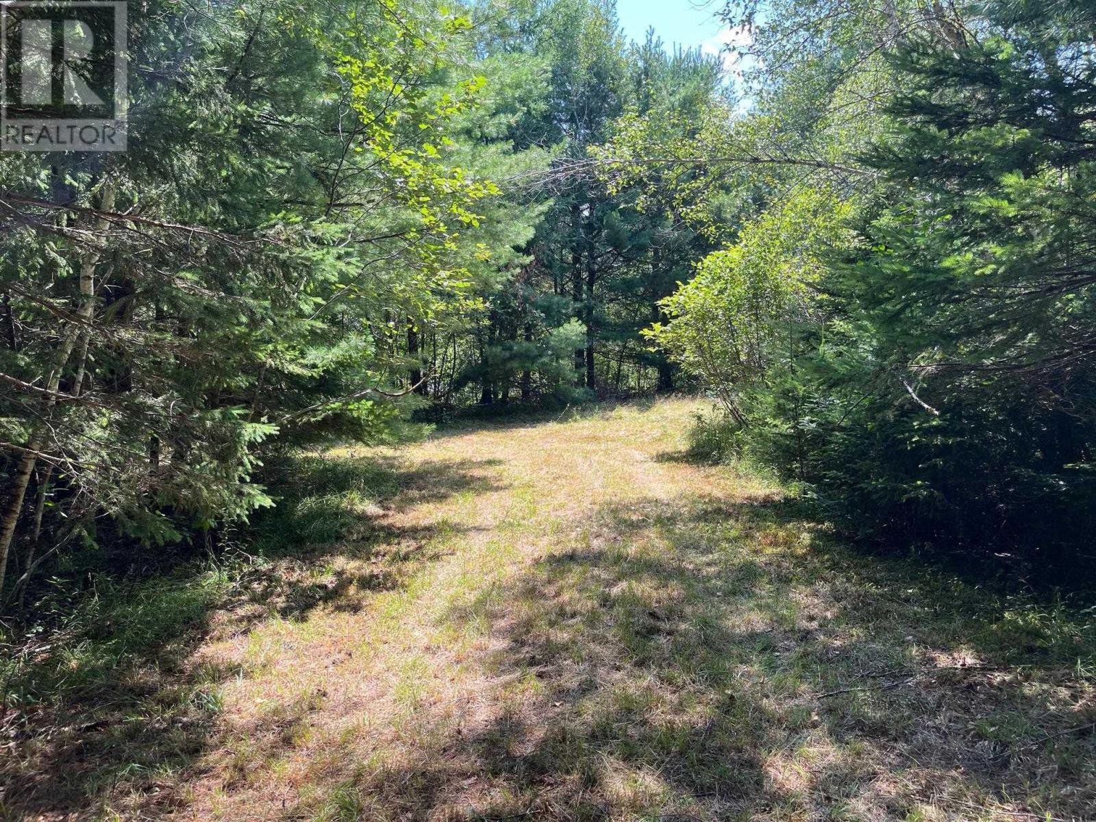 Lot 24-1 Mckeen Road, Watford, Nova Scotia  B0R 1E0 - Photo 21 - 202502421