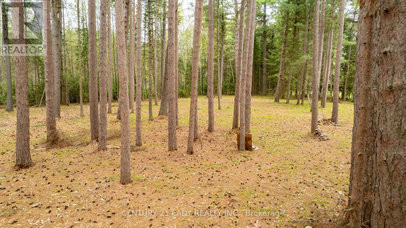 536 Pine Street, Greater Madawaska, Ontario  K0J 2R0 - Photo 42 - X12175003