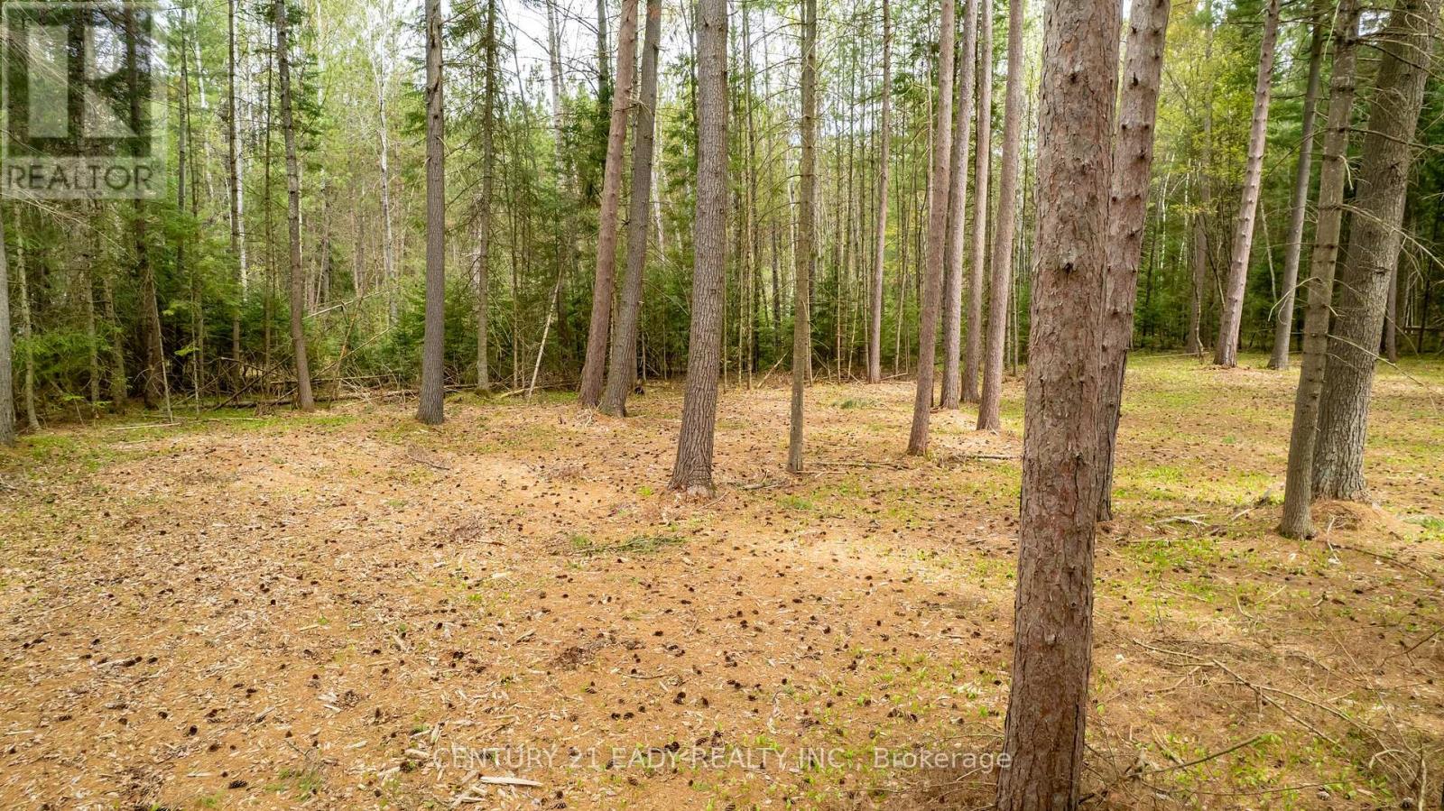 536 Pine Street, Greater Madawaska, Ontario  K0J 2R0 - Photo 43 - X12175003
