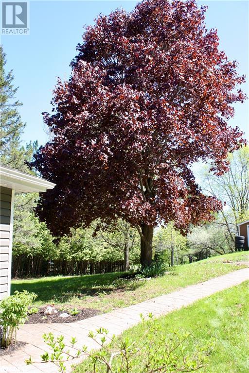 22 Robert Drive, Faraday, Ontario  K0L 1C0 - Photo 25 - 40733931