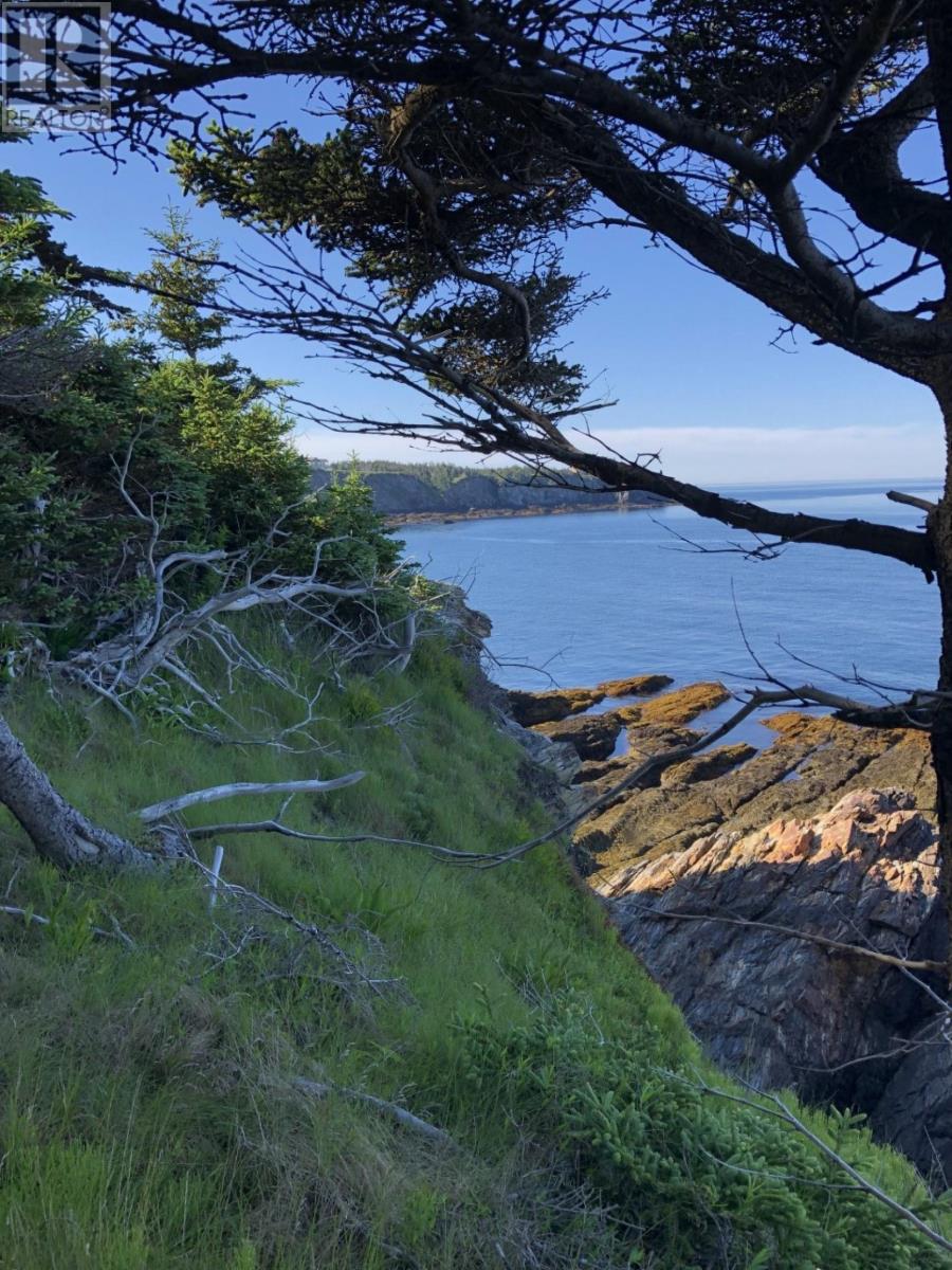 Lot 10c-A Pepperrell Road, Cape St Marys, Nova Scotia  B5A 5B4 - Photo 10 - 202512370