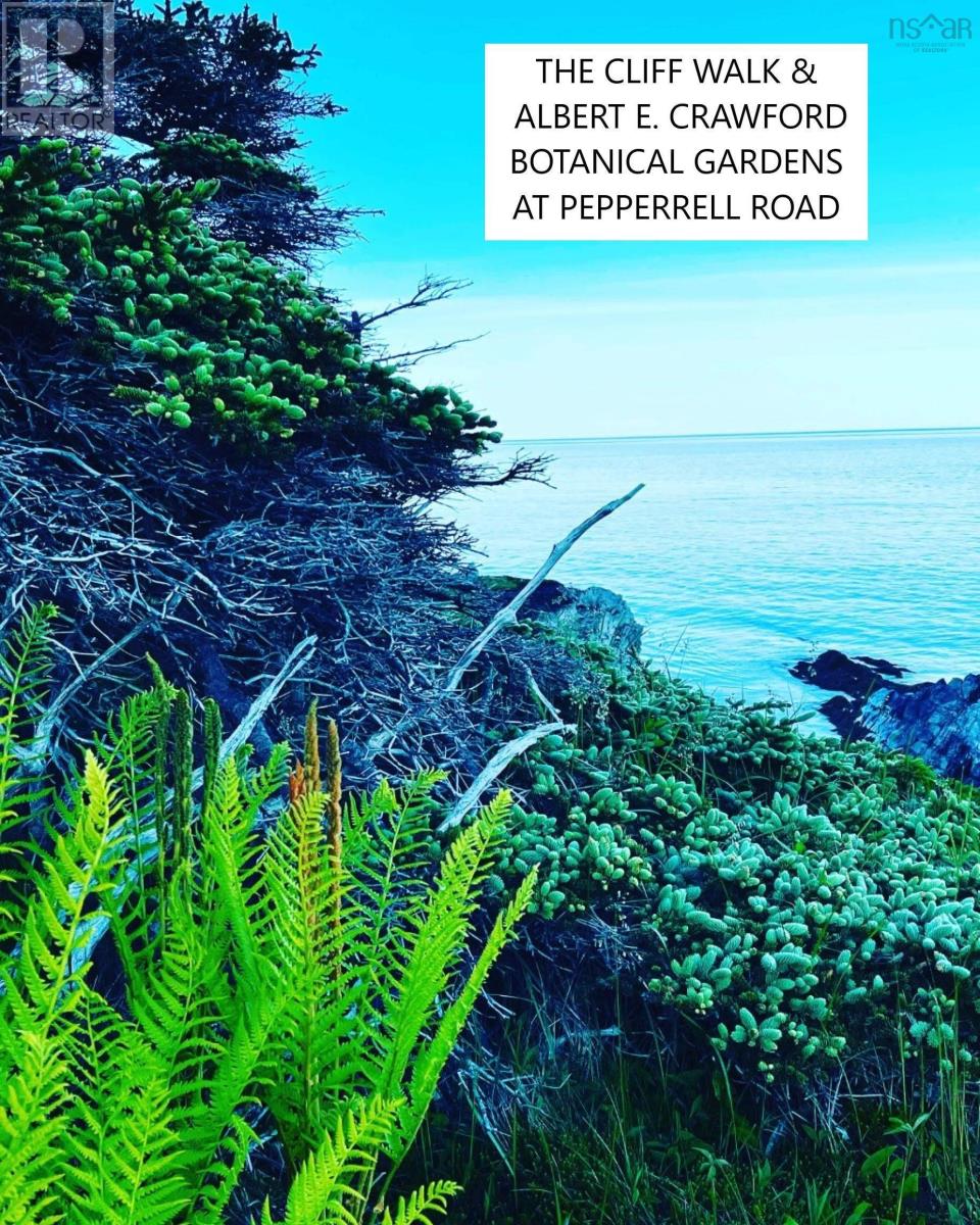 Lot 10c-A Pepperrell Road, Cape St Marys, Nova Scotia  B5A 5B4 - Photo 19 - 202512370