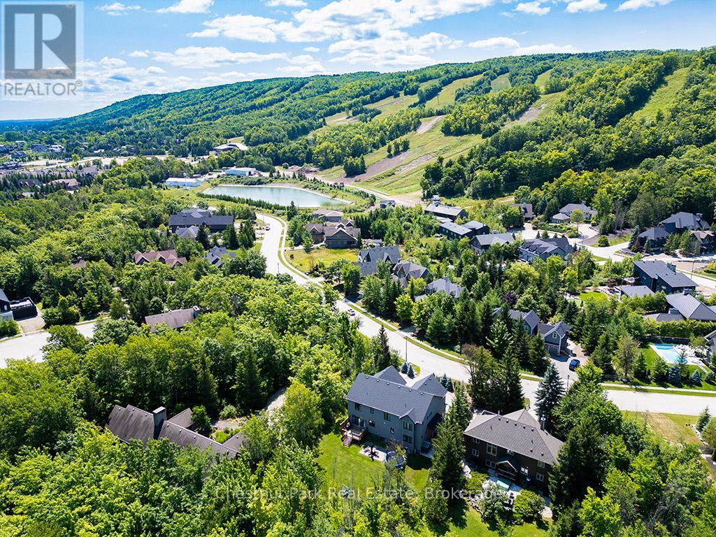 163 Alta Road, Blue Mountains, Ontario  L9Y 0T2 - Photo 17 - X12112829