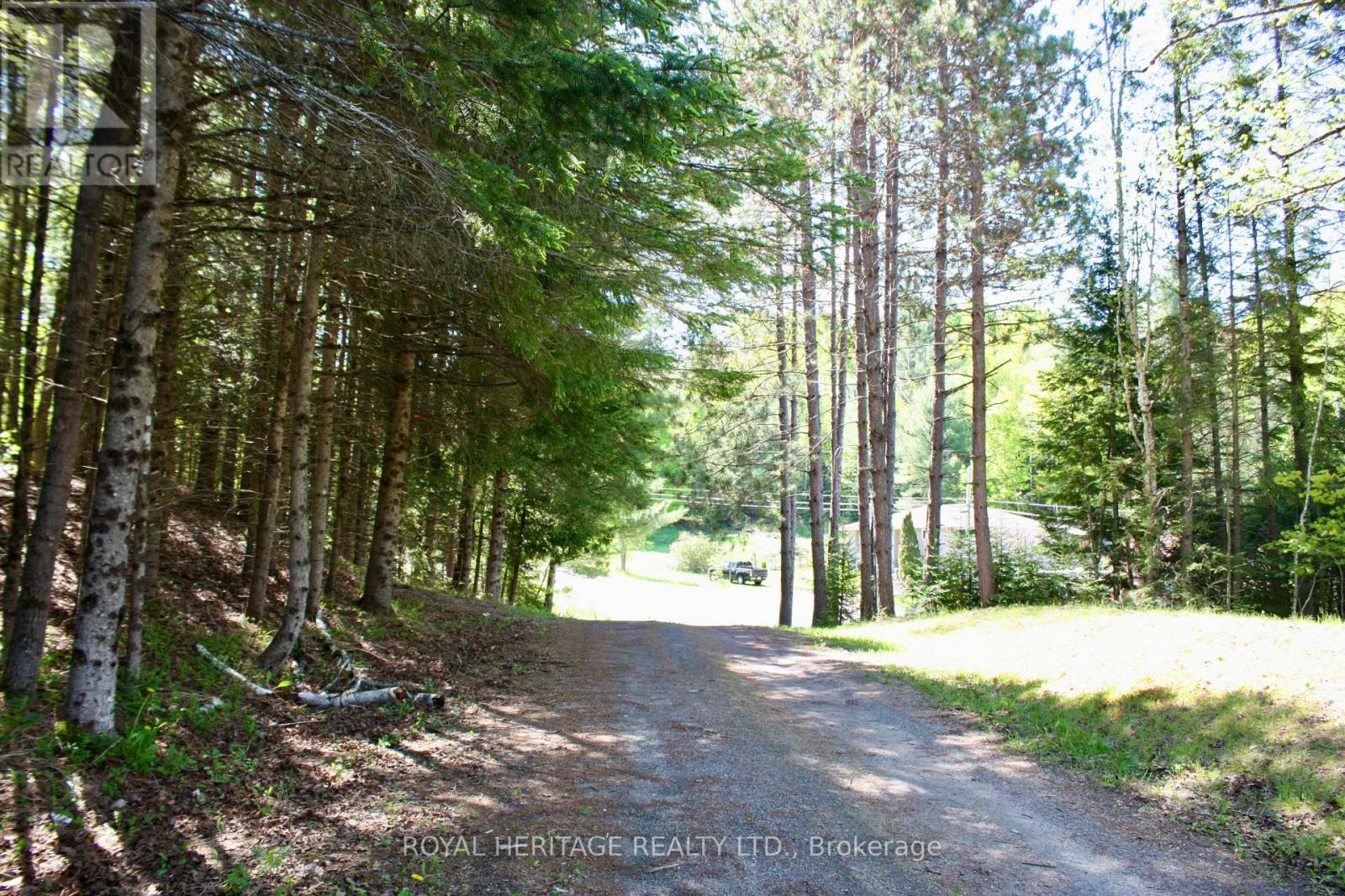 22 Robert Drive, Faraday, Ontario  K0L 1C0 - Photo 3 - X12175004