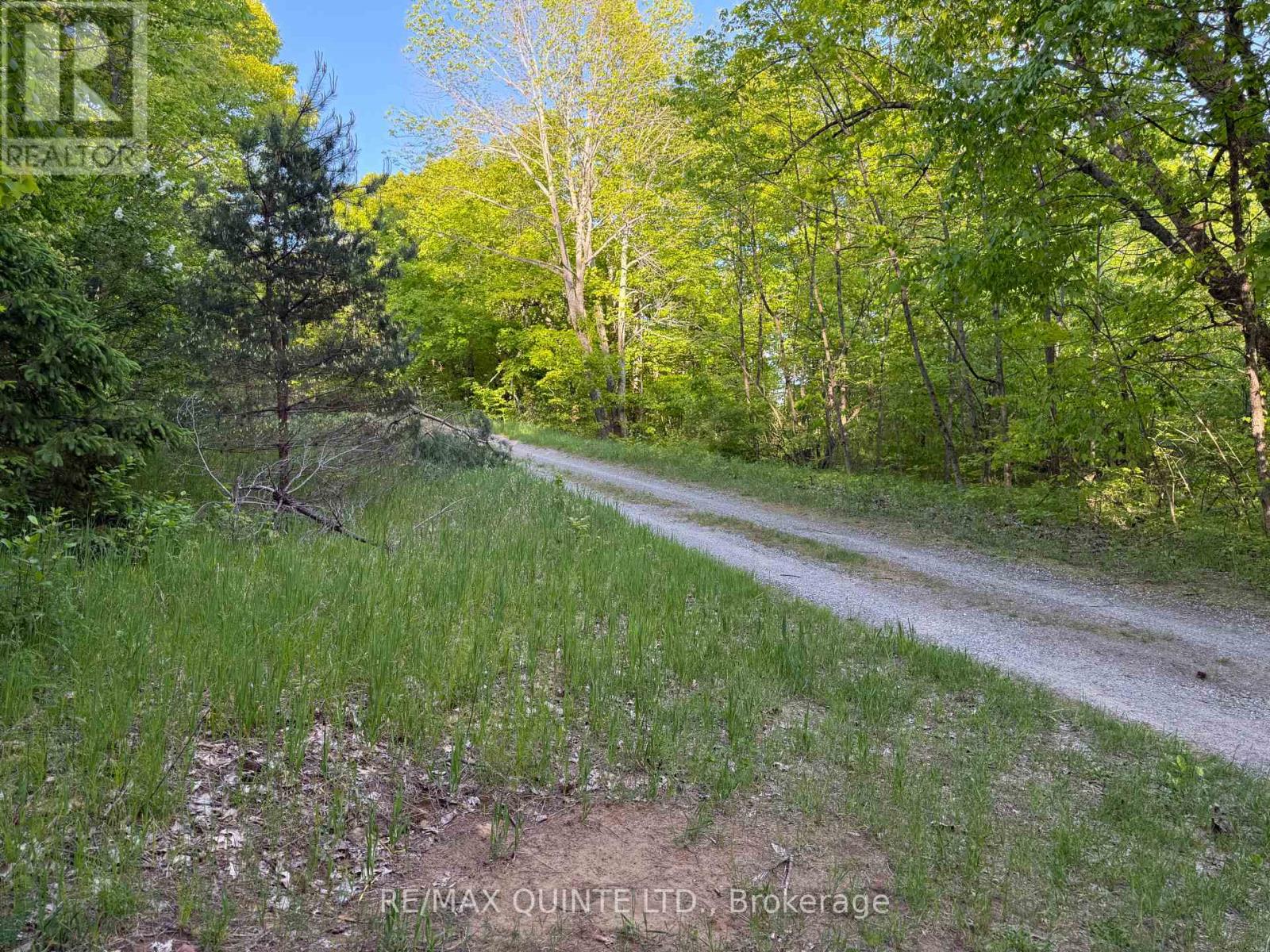 0 Black River Lane, Tweed, Ontario  K0K 3J0 - Photo 10 - X12175027