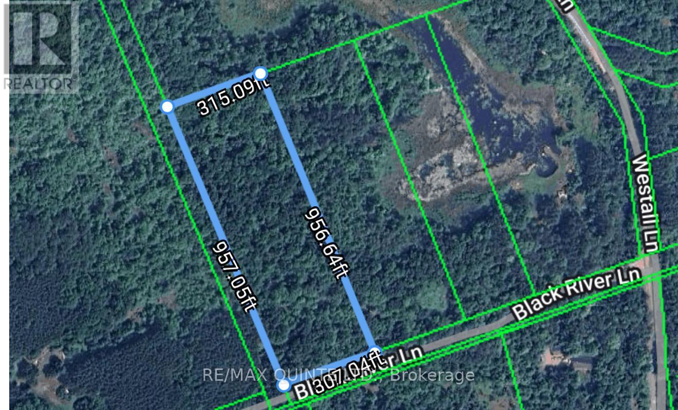 0 Black River Lane, Tweed, Ontario  K0K 3J0 - Photo 11 - X12175027