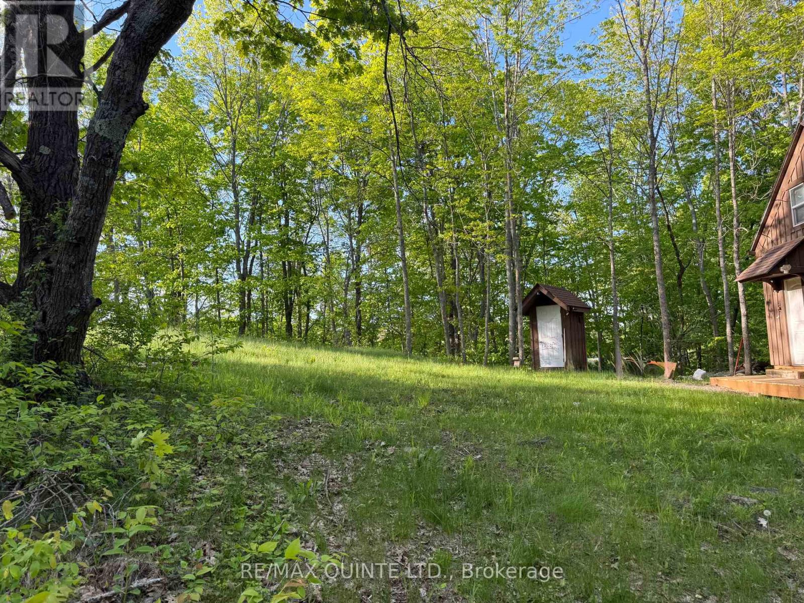 0 Black River Lane, Tweed, Ontario  K0K 3J0 - Photo 9 - X12175027