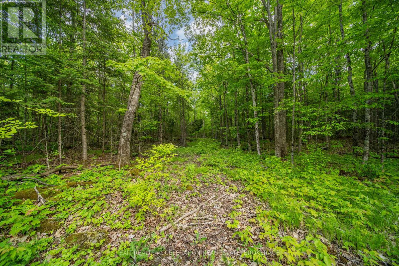 41 Stonehedge Road, Stone Mills, Ontario  K0K 2L0 - Photo 10 - X12144710