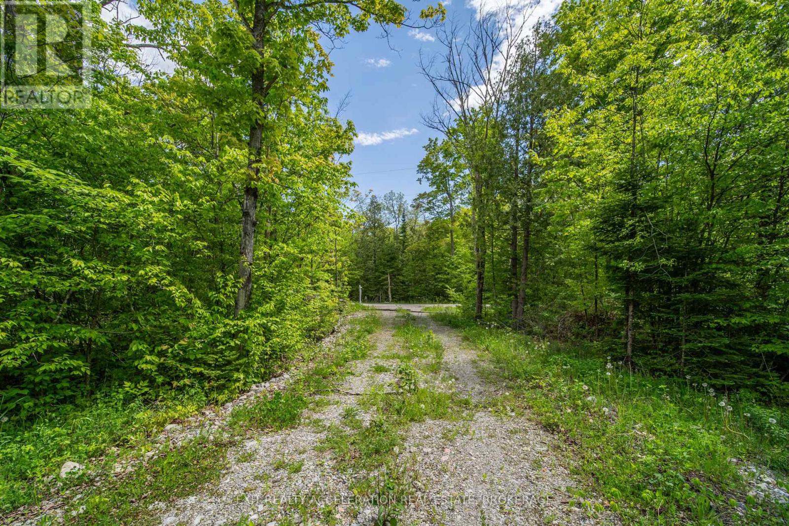 41 Stonehedge Road, Stone Mills, Ontario  K0K 2L0 - Photo 5 - X12144710