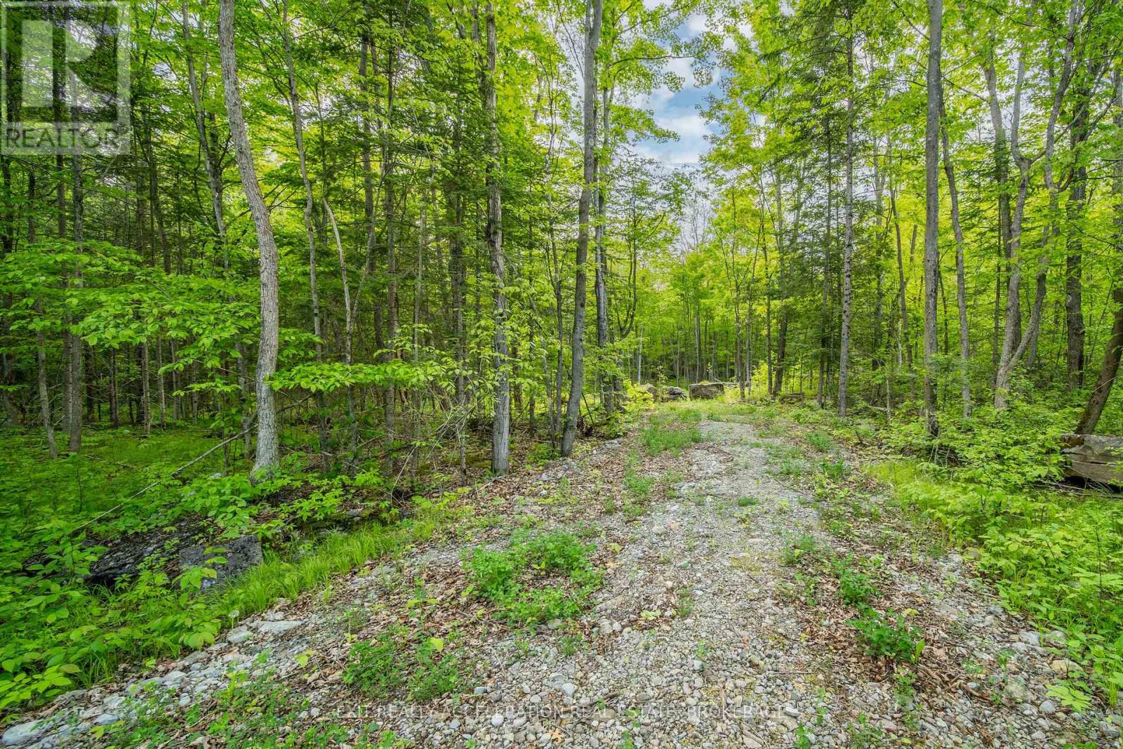 41 Stonehedge Road, Stone Mills, Ontario  K0K 2L0 - Photo 8 - X12144710
