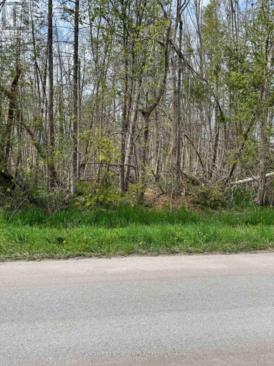 Lot 21 Tudhope Boulevard, Oro-Medonte, Ontario  L0L 1T0 - Photo 2 - S12175033