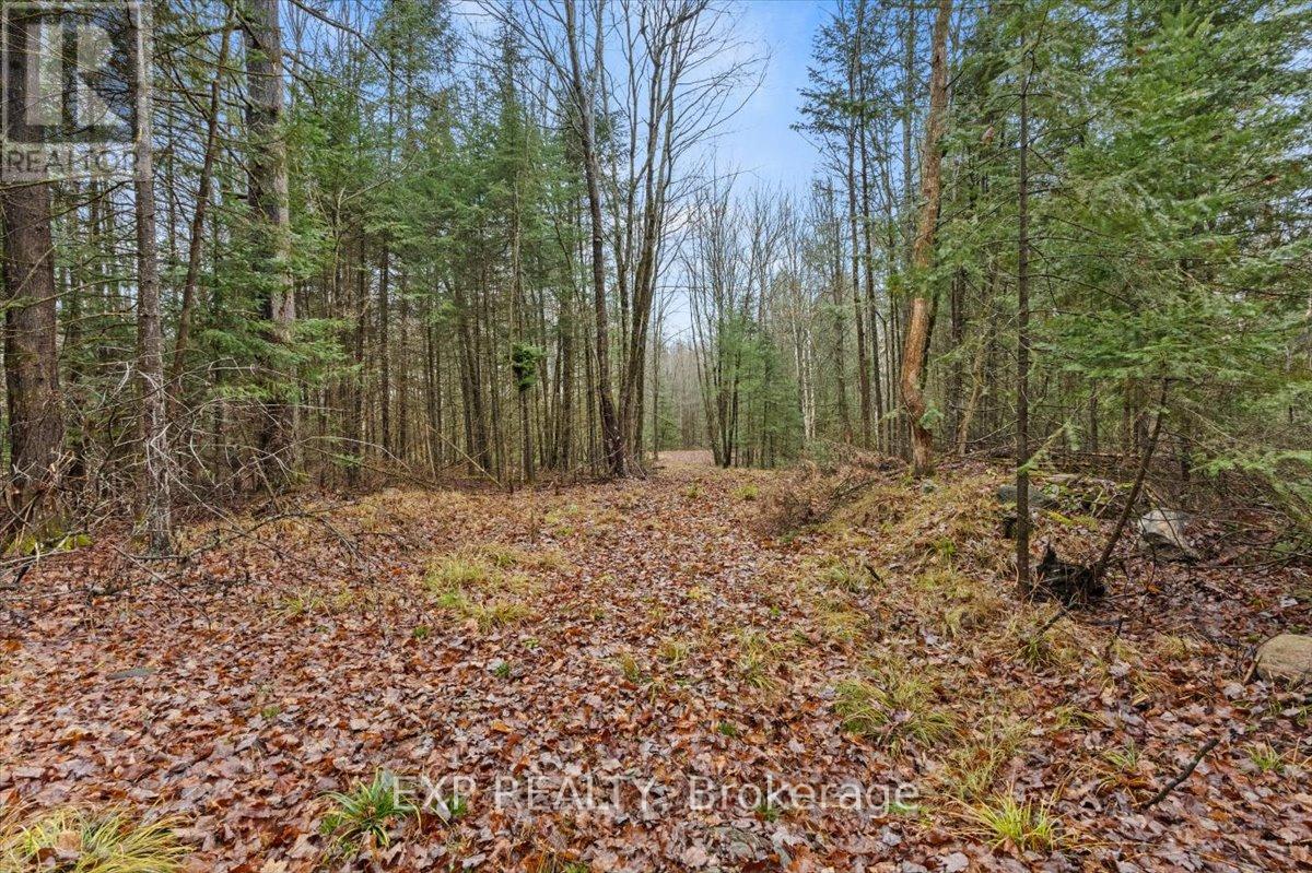0 Gelert Road, Minden Hills, Ontario K0M 2K0 - Photo 5 - X12175089