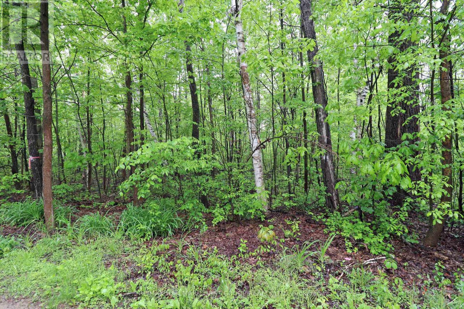 Pt 12 Hughes Lane, Tweed, Ontario K0K 3J0 - Photo 10 - X12175135