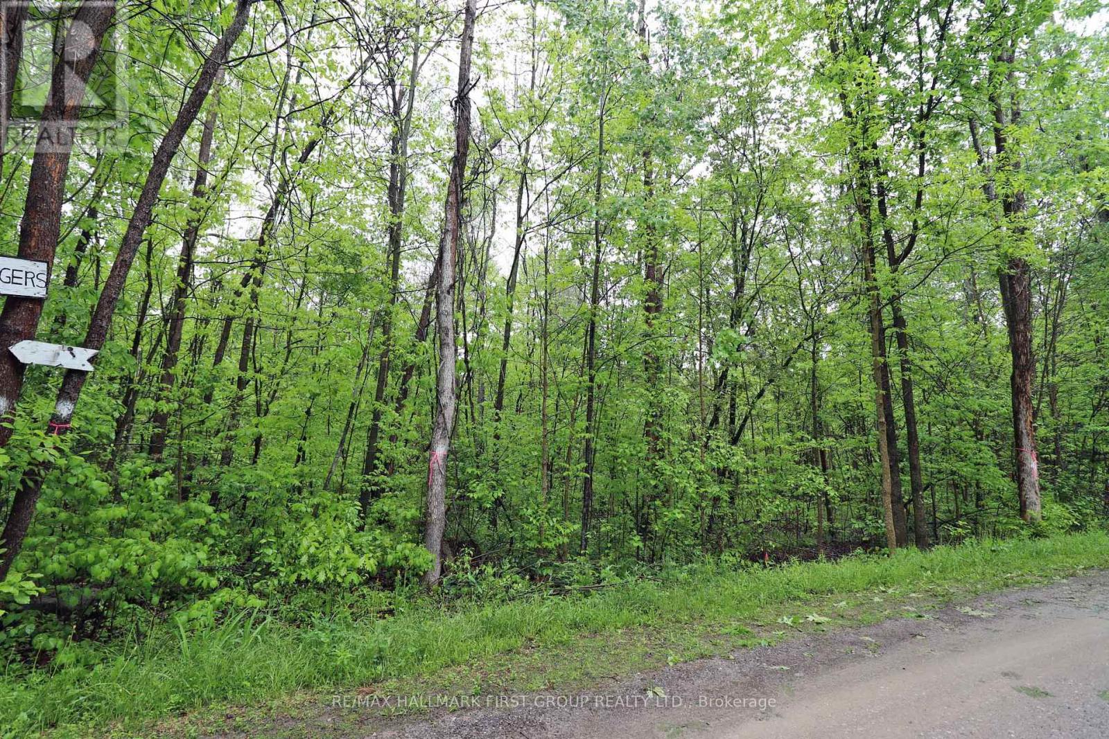 Pt 12 Hughes Lane, Tweed, Ontario K0K 3J0 - Photo 11 - X12175135