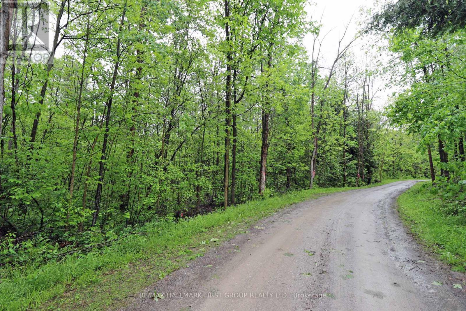 Pt 12 Hughes Lane, Tweed, Ontario K0K 3J0 - Photo 12 - X12175135