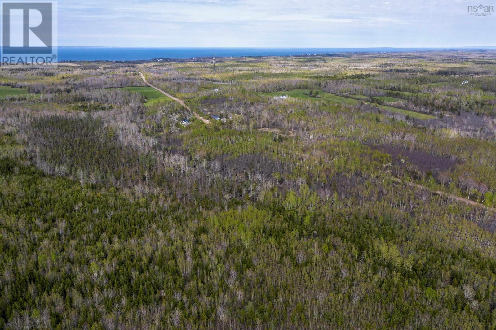 217 Mcauley Road, Hedgeville, Nova Scotia  B0K 1N0 - Photo 50 - 202512381