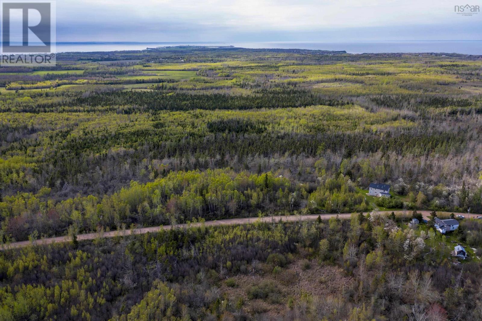 217 Mcauley Road, Hedgeville, Nova Scotia  B0K 1N0 - Photo 48 - 202512381