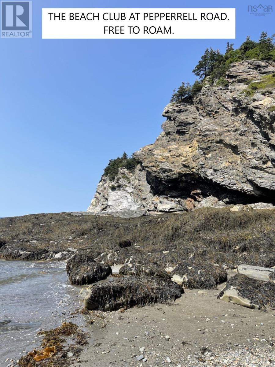 Lot 7a Pepperrell Road, Cape St Marys, Nova Scotia  B5A 5B4 - Photo 13 - 202512391