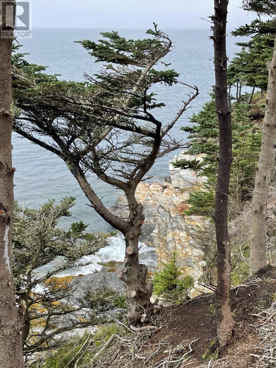 Lot 7a Pepperrell Road, Cape St Marys, Nova Scotia  B5A 5B4 - Photo 42 - 202512391