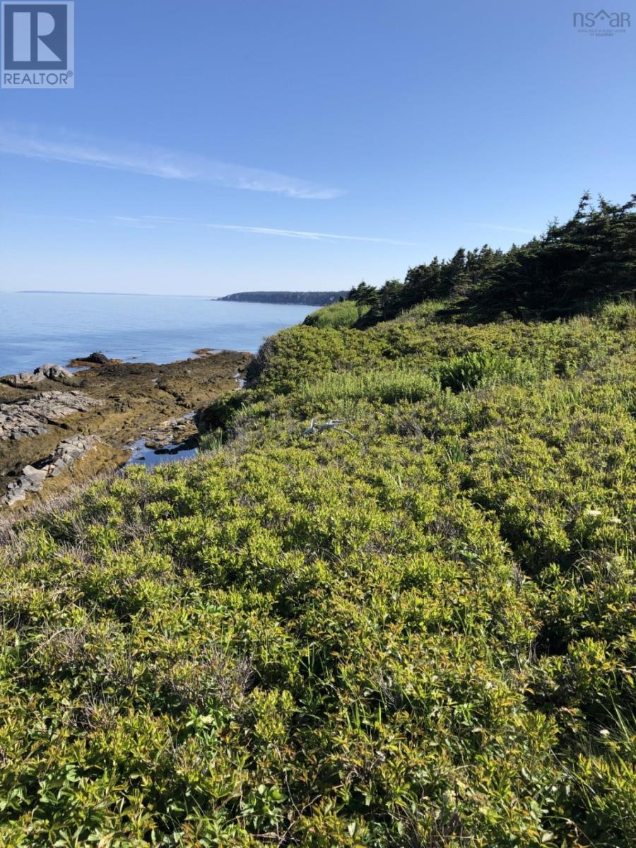Lot 1b Pepperrell Road, Cape St Marys, Nova Scotia  B5A 5B4 - Photo 32 - 202512396