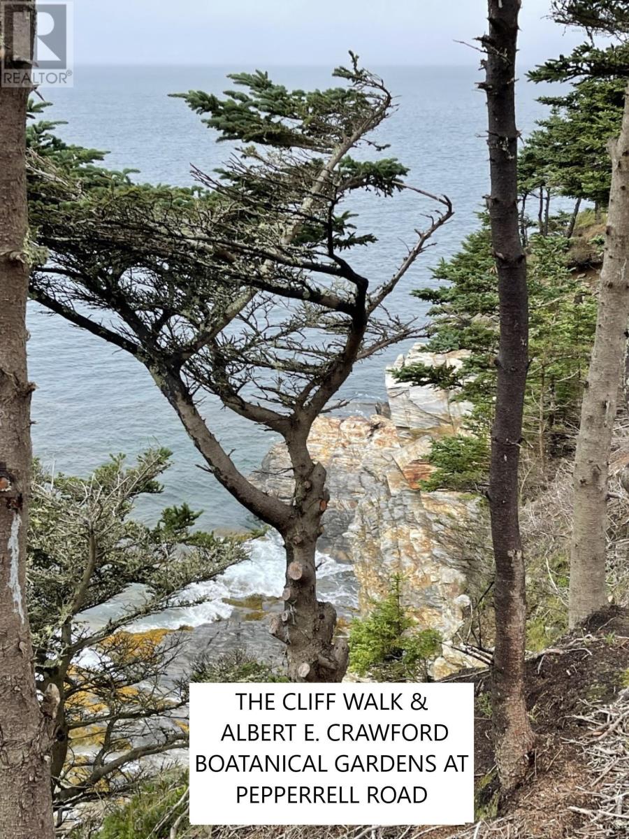 Lot 1a Pepperrell Road, Cape St Marys, Nova Scotia  B5A 5B4 - Photo 24 - 202512397