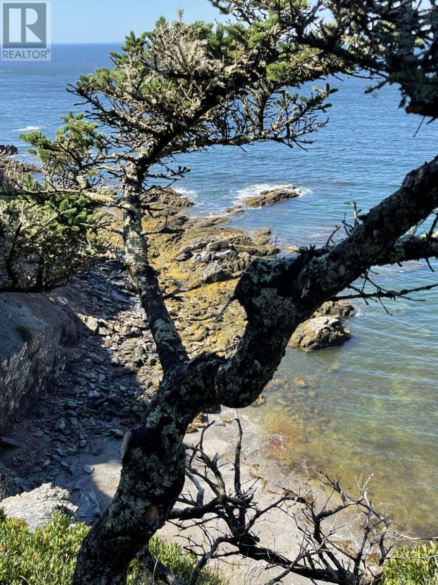 Lot 1a Pepperrell Road, Cape St Marys, Nova Scotia  B5A 5B4 - Photo 42 - 202512397