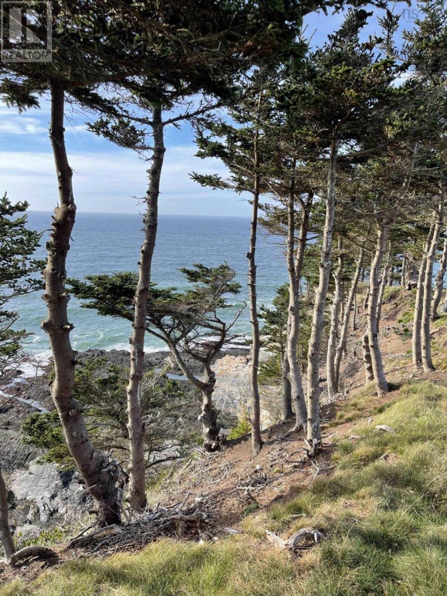 Lot 1a Pepperrell Road, Cape St Marys, Nova Scotia  B5A 5B4 - Photo 46 - 202512397