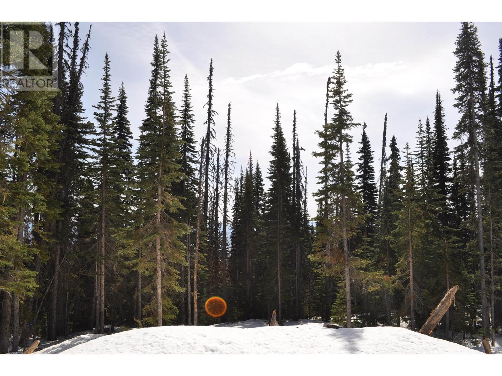 Pr. St Lt 11 Alpine Way, Smithers, British Columbia  V0J 2N0 - Photo 2 - R3006456