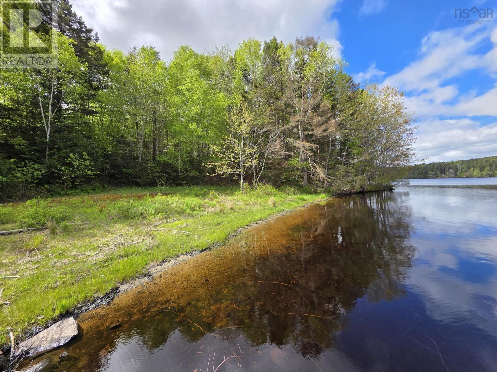 4706 Highway 340, Havelock, Nova Scotia  B0W 3T0 - Photo 50 - 202512406