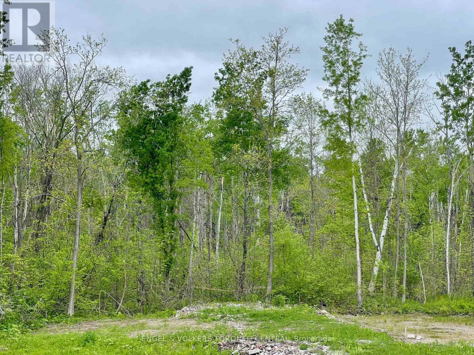 14 Winter Road, Trent Hills, Ontario  K0K 3K0 - Photo 2 - X12175122
