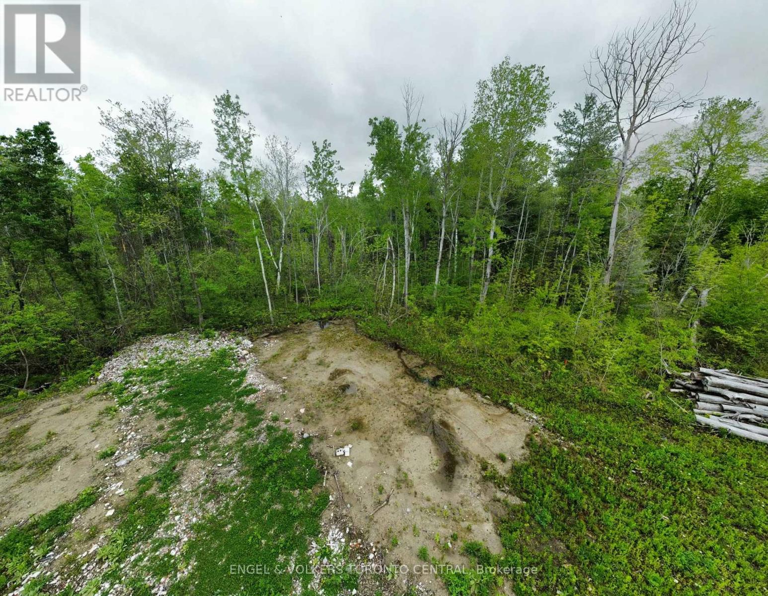 14 Winter Road, Trent Hills, Ontario  K0K 3K0 - Photo 3 - X12175122
