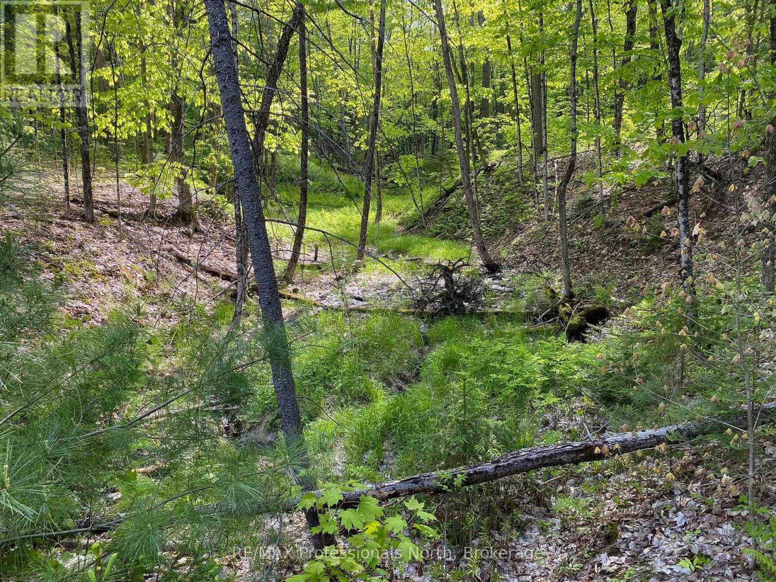 416 Swallowdale Road, Huntsville, Ontario  P1H 0A5 - Photo 19 - X12093325